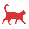 imune a animais